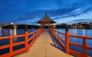 Landscape - DSC03885