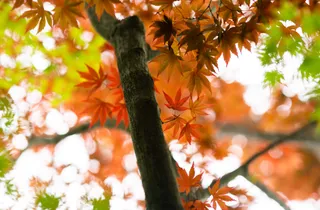 Landscape - DSC04629