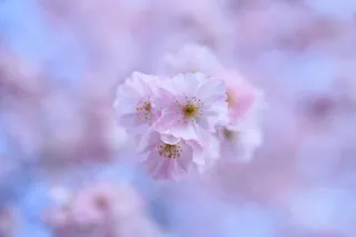 Landscape - DSCF0757