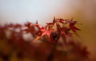 Landscape - IMG_4779