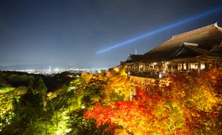 Landscape - IMG_5062-2