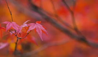 Landscape - IMG_5877