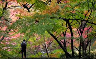 Landscape - IMG_6030