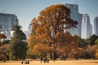 Landscape - IMG_6267